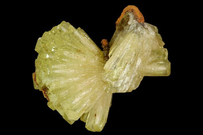 Yellow-Green Adamite Crystal Cluster - Durango, Mexico #127032